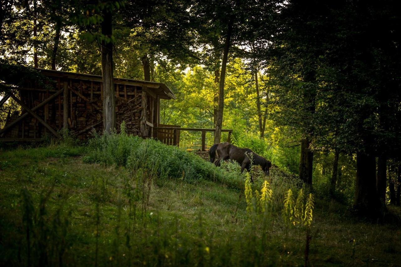 Forest Camping Мозирье Экстерьер фото