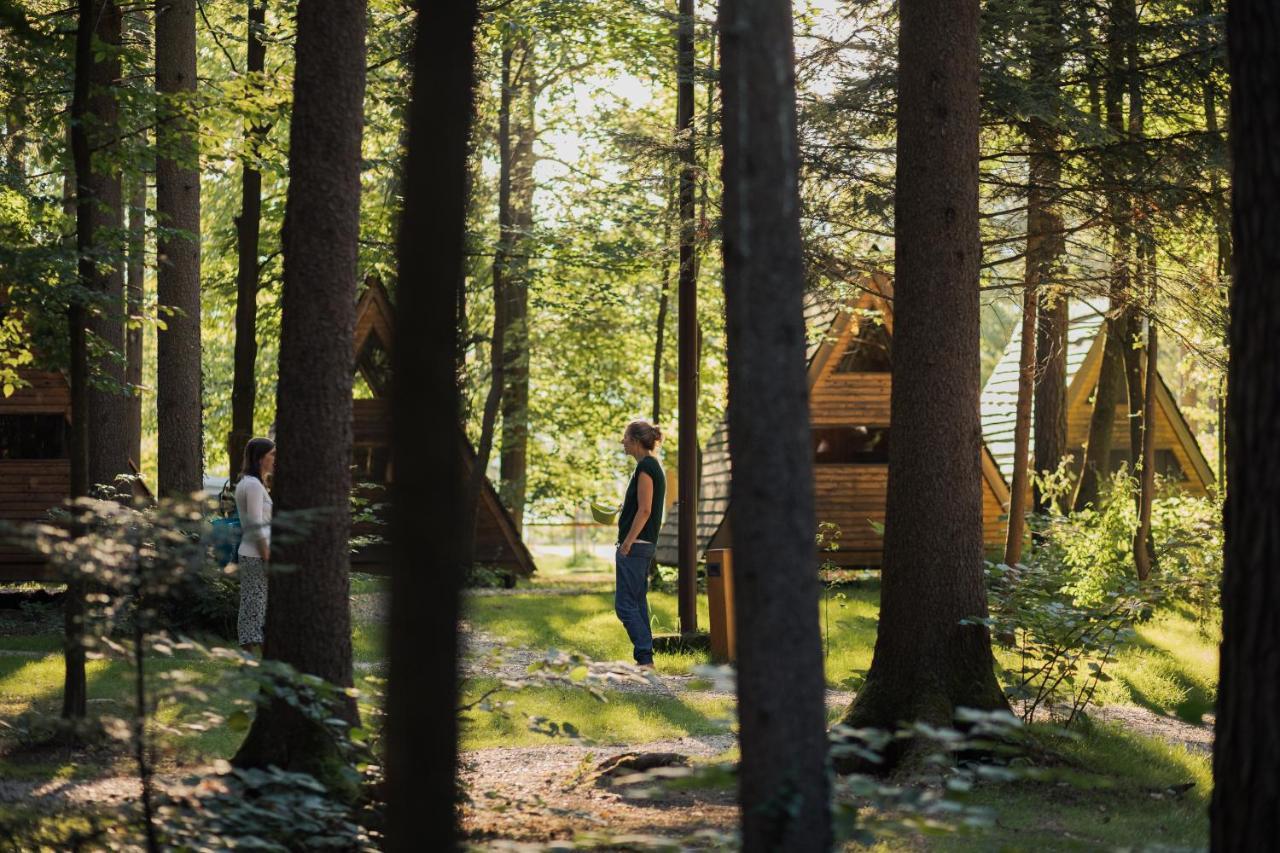 Forest Camping Мозирье Экстерьер фото