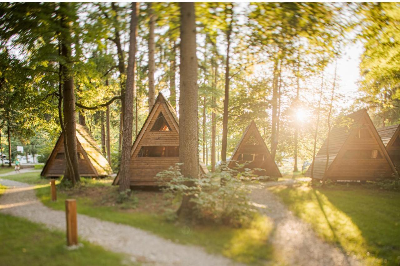 Forest Camping Мозирье Экстерьер фото