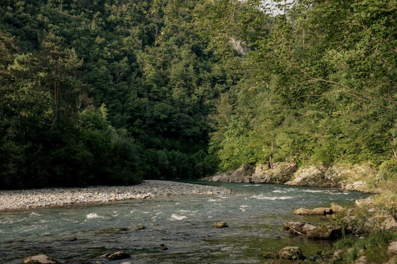 Forest Camping Мозирье Экстерьер фото